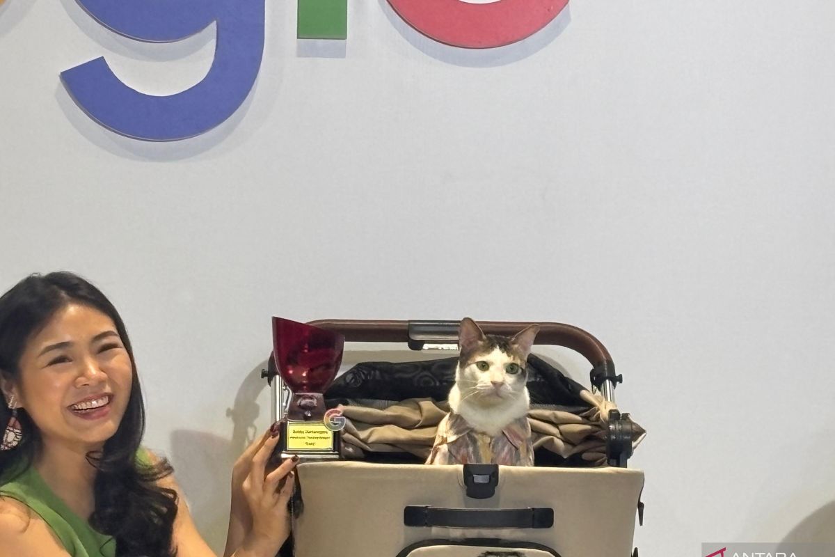 Kucing Bobby Kertanegara Ditemukan Menjadi Pencarian Populer di Google Indonesia