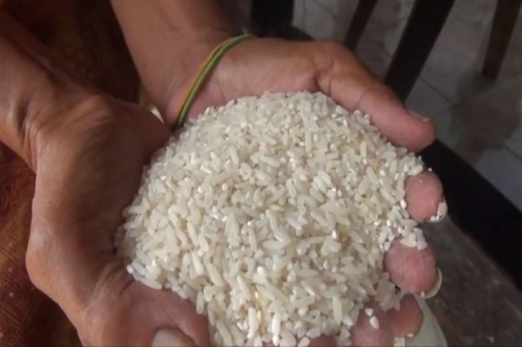 Bulog Jamin Pasokan Beras dan Jagung Terpantau Aman di Tengah Kekhawatiran Bapanas