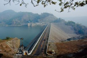 Listrik Hijau PLN Makin Populer, Pengguna Melonjak 117 Persen