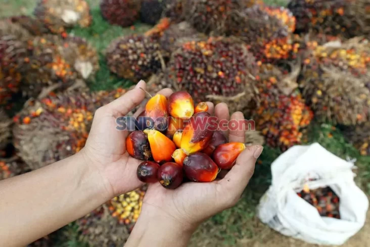 "Ini Dia Temuan Baru GRS 2021-2023: Teknologi Inovatif Siap Menggebrak Pasar!"
