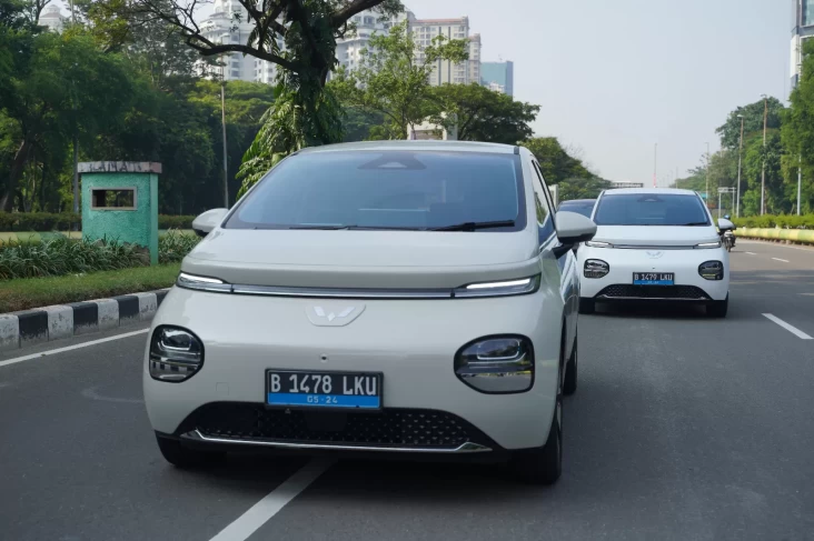 "Menuju Mudik 2025 yang Lebih Peduli Lingkungan dengan Mobil Listrik, Ini Dia Tipsnya!"