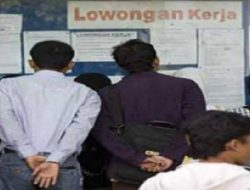 Ironi Pendidikan! Siap Kerja, Tapi Lulusan SMK Paling Banyak Menganggur