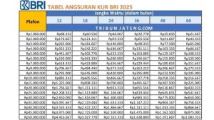 Cara Mudah Pinjam Rp60 Juta di KUR BRI 2025 untuk UMKM Aman dan Cicilan Ringan