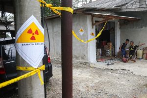 Pemerintah Hancurkan 13,6 Ton Cengkih Terkontaminasi Radioaktif Cesium-137
