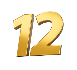 12 Ramalan Keuangan Shio Hari Jumat 14 November 2025: Babi Puas, Ular Bijaksana