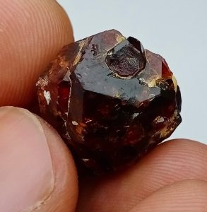 Granat Lampung Perangi Narkoba, Mahasiswa FISIP Unila Berkontribusi