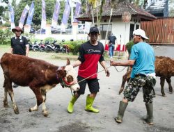 Contoh Hewan Vertebrata dan Klasifikasinya