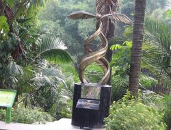 Sejarah Kelapa Sawit di Indonesia: Kakek-Nenek yang Tua dan Mati di Kebun Raya Bogor 1989