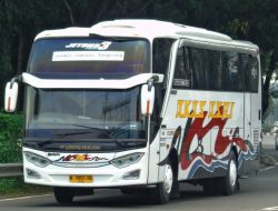 6 Bus Nyaman Probolinggo–Situbondo untuk Perjalanan Praktis di Jalur Pantura Timur