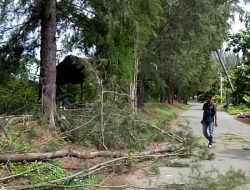 Kisah Banda Aceh: Warung Kopi Jadi Tempat Kekuatan Sosial Saat Bencana