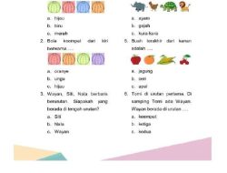 49 Soal IPA Kelas 4: Pilihan Ganda & Essay Lengkap Jawaban untuk Ulangan Semester 2