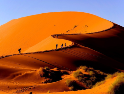 8 destinasi wisata ikonik di Namibia, dari gurun paling tua hingga kota hantu