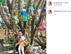 5 Tahun Menjanda, Aura Kasih Bercerita Perjuangan Besarkan Anak Sendiri