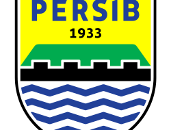 Persib Hadapi Ratchaburi FC di 16 Besar ACL 2, Beckham Putra Pernah Bobol Gawang Tuan Rumah