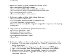 Ringkasan Fenomena Kecerdasan Buatan untuk Kelas 12 SMA, Lengkap dengan Soal HOTS