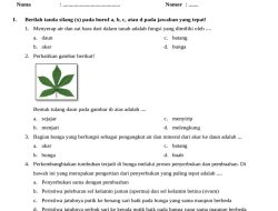 25 Soal Asesmen Tengah Semester 2 PLBJ Kelas 4 SD Kurikulum Merdeka 2026