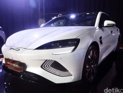 Mobil BYD Terbaru 2026 yang Dijual di Indonesia