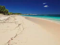 Wisata NTT: Pulau Semau, Surga Pasir Putih dan Ikan Kerapu yang Terlupakan