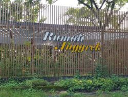 Keunikan pengembangan anggrek di Pelaihari Tanahlaut Kalsel