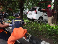 Mudik 2026: Jambi-Palembang Lumpuh Akibat Kecelakaan Beruntun