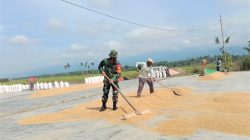 Pengering bantu petani Pringsewu jaga kualitas gabah cuaca tak menentu