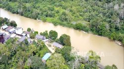 Kalimantan Jadi Sorotan Dunia 20 Mei, Ini Alasannya