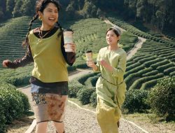 Nikmati Hojicha Genmai Milktea untuk Rileksasi Maksimal