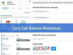 Cara Cek Bansos April 2026 Online dengan HP, Mudah dan Cepat
